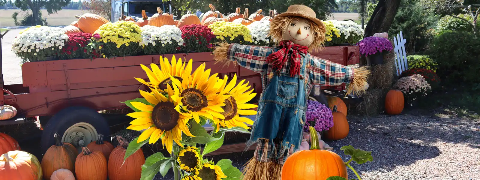 Flyte Family Farms in Coloma, WI