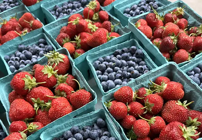 Flyte Family Farms in Coloma, WI (5)