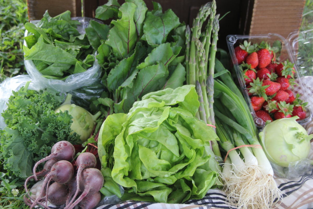 Green Ridge Country Market in Mifflinburg, PA (2)