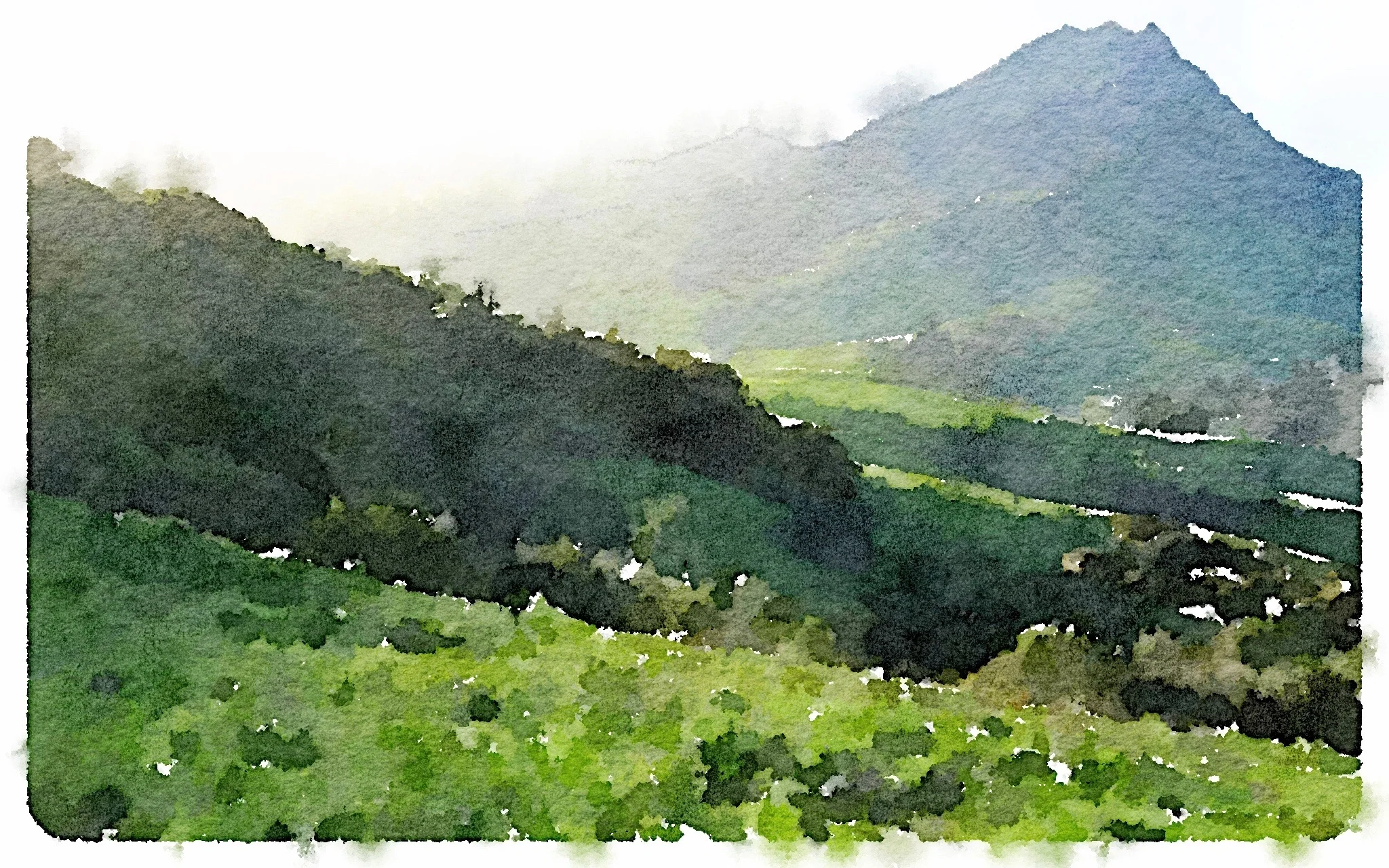 O'Leary Wallace LLP in Atascadero, CA