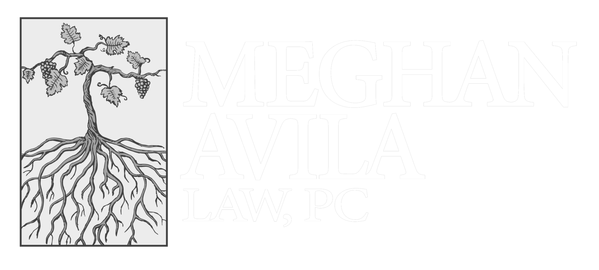 Meghan Avila Law, PC in Napa, CA