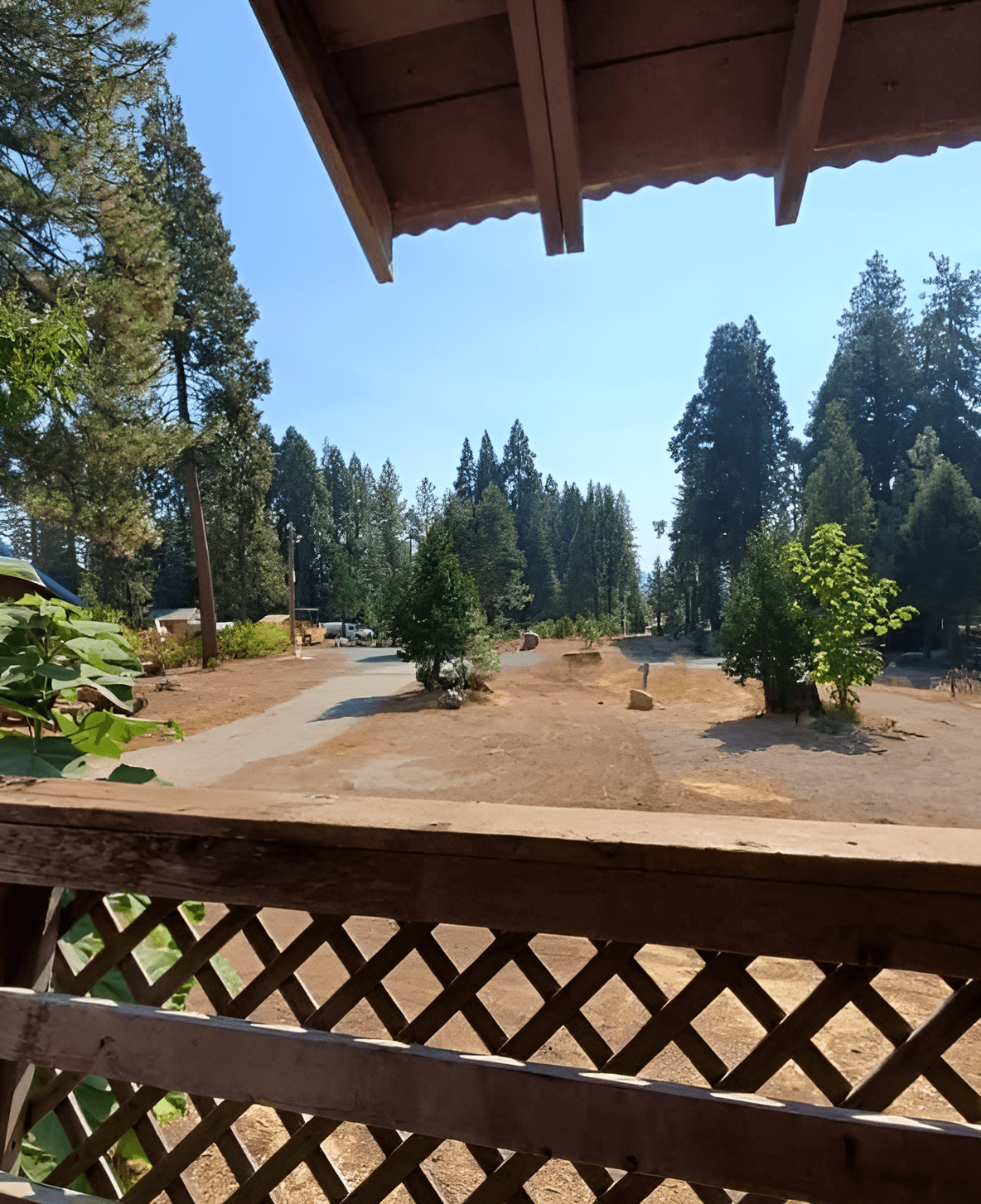 Cook's Station | Saloon • Dining • Store in Pioneer, CA