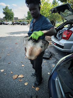 Borbor auto center in Baltimore, MD