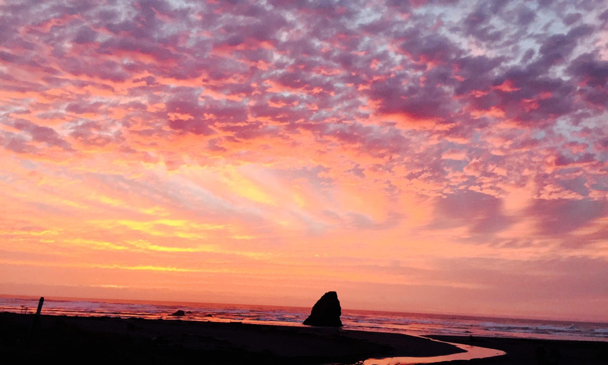 Coastal Mendocino Association of REALTORS in Fort Bragg, CA