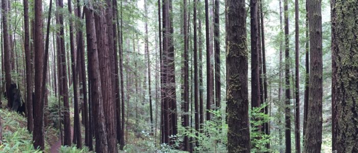 Coastal Mendocino Association of REALTORS in Fort Bragg, CA (3)