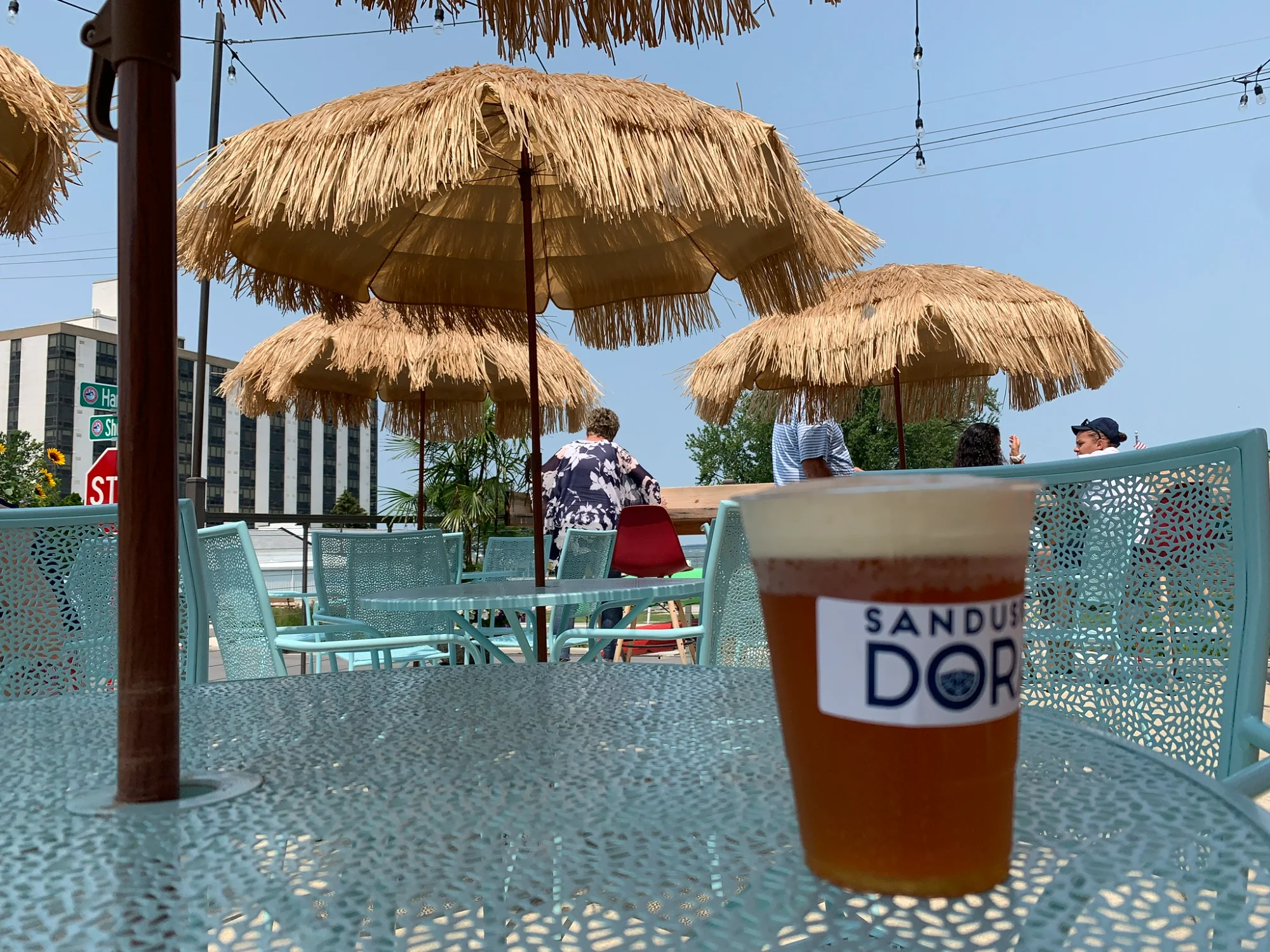 Paddle Bar in Sandusky, OH