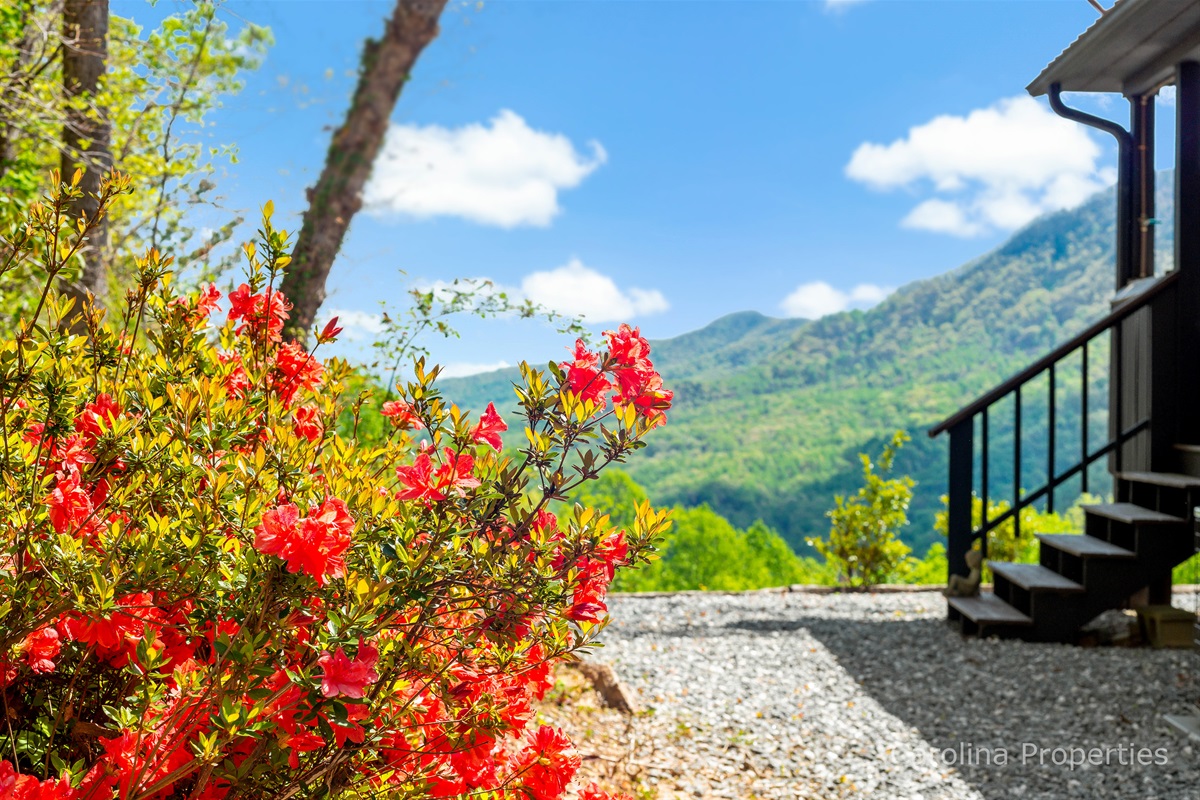 Carolina Properties in Lake Lure, NC (4)
