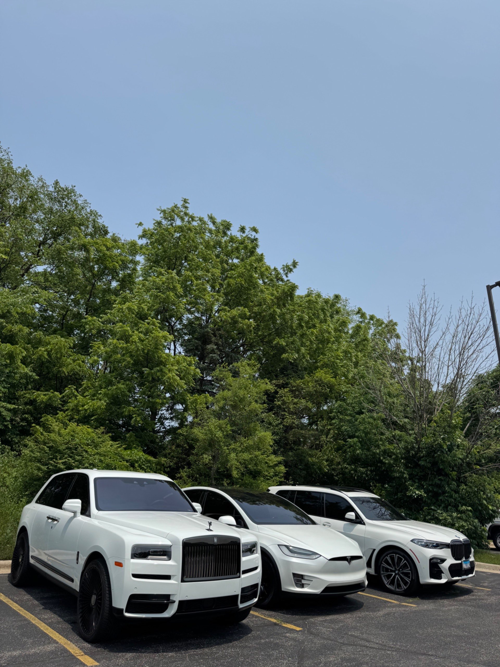 Cleanaholics Detailing & Tints in Highland Park, IL (3)