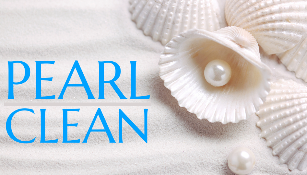 Pearl Clean LLC in Holly Hill, SC