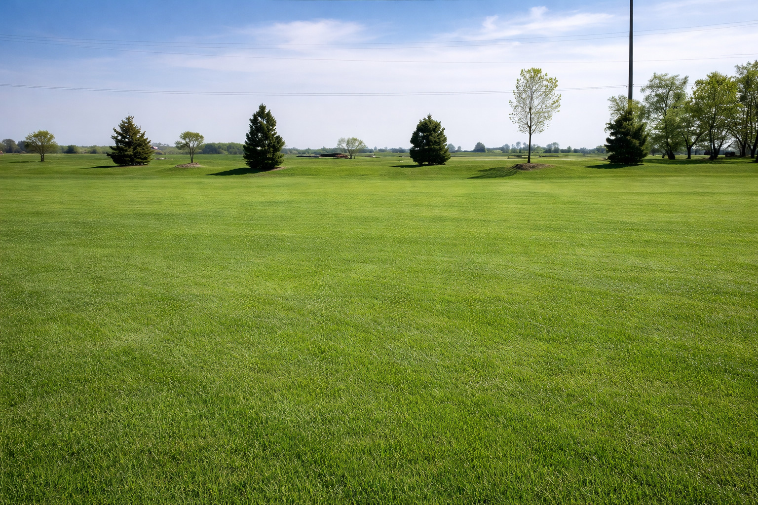 Maranda Real Estate Group | Christie's International Real Estate in Elmhurst, IL (4)