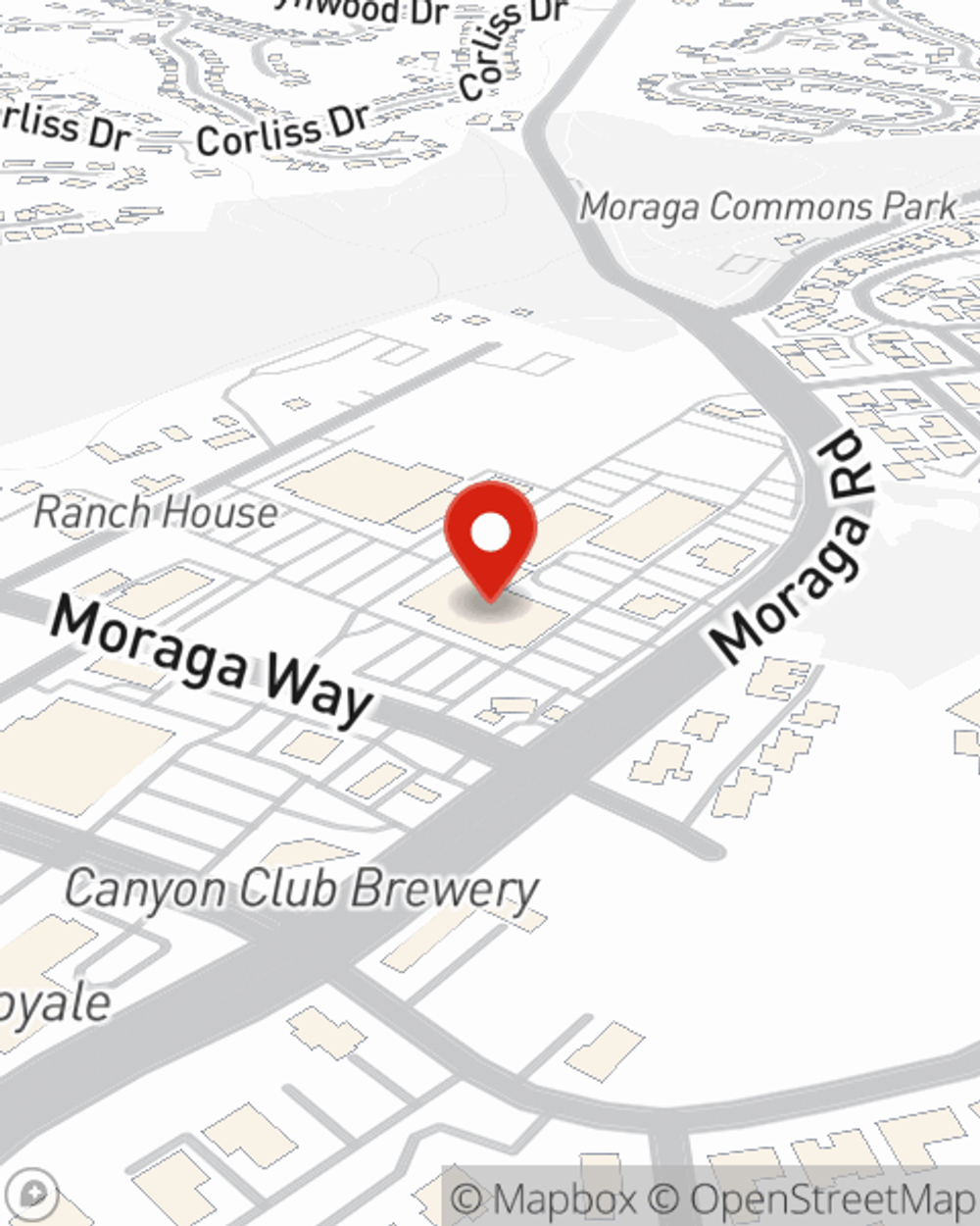 Timi Adeyemo - State Farm Insurance Agent in Moraga, CA