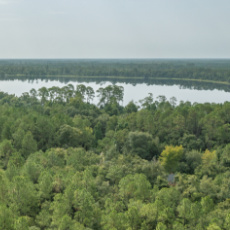 C B Isaac Realty in Hawthorne, FL (4)