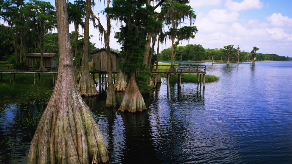 C B Isaac Realty in Hawthorne, FL (6)