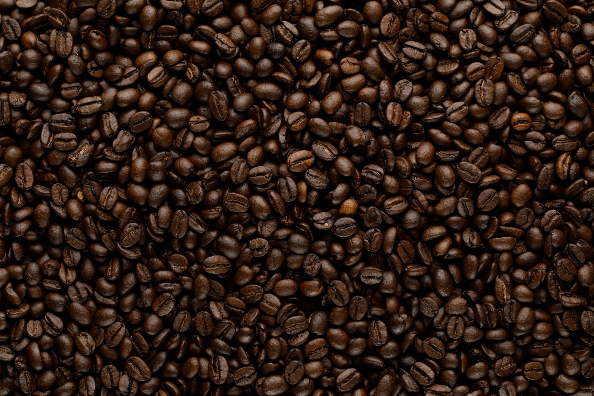 Klerje Coffee in Austin, TX