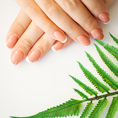 Angel Nails & Spa In Hendersonville in Hendersonville, NC