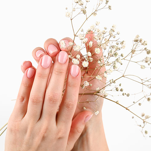 Angel Nails & Spa In Hendersonville in Hendersonville, NC (5)