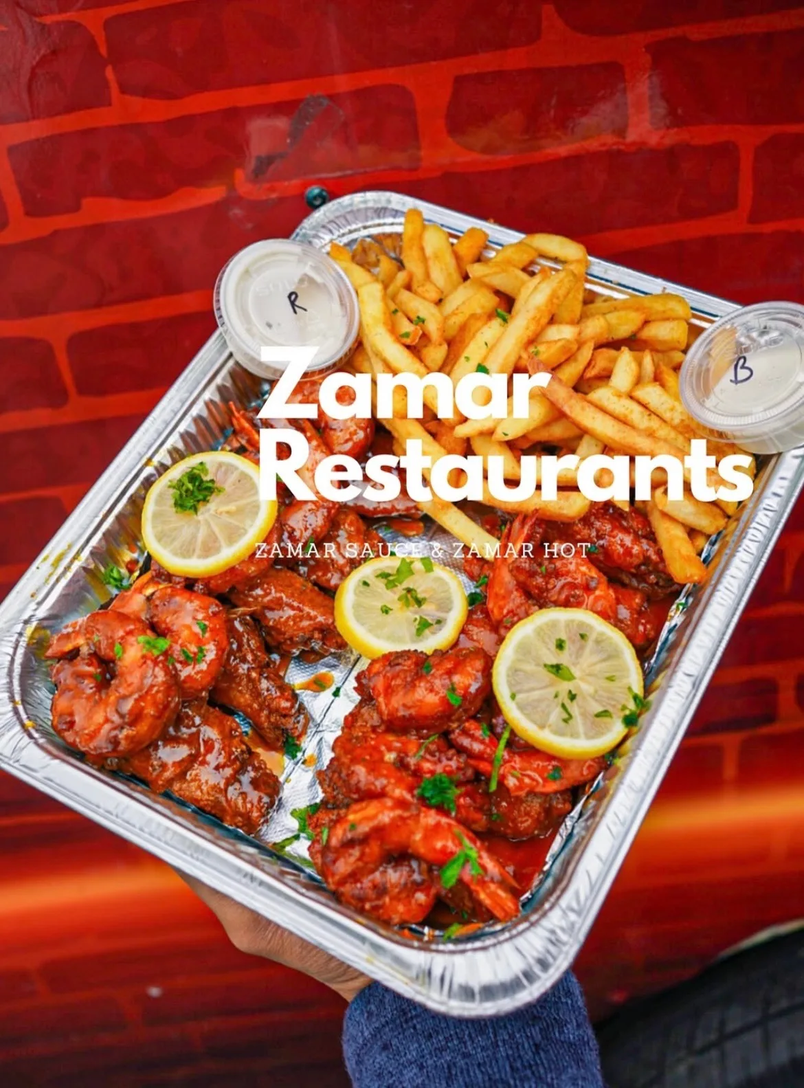 Zamar Wings in Tampa, FL