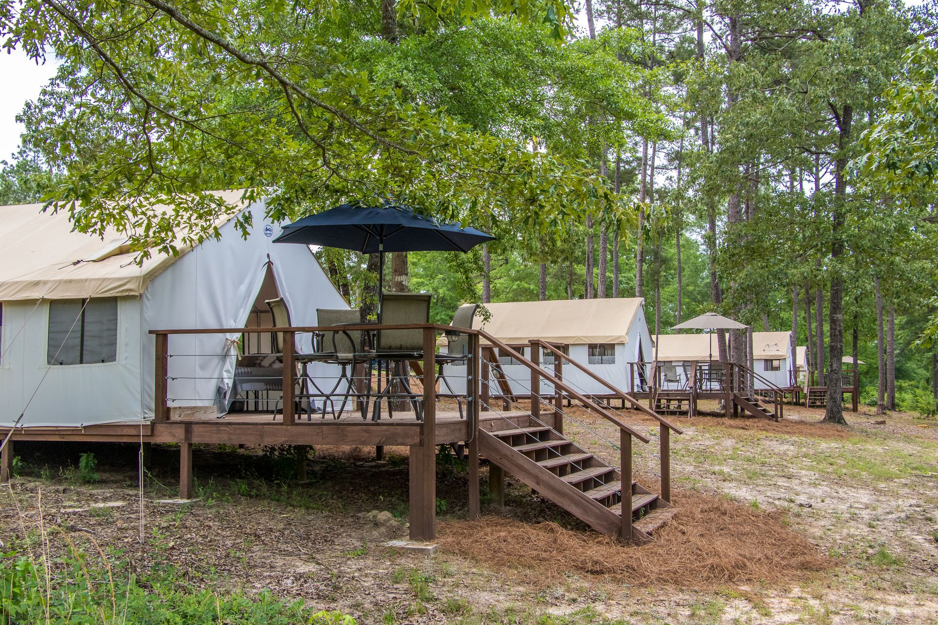 Strange Farms in Ellaville, GA (2)