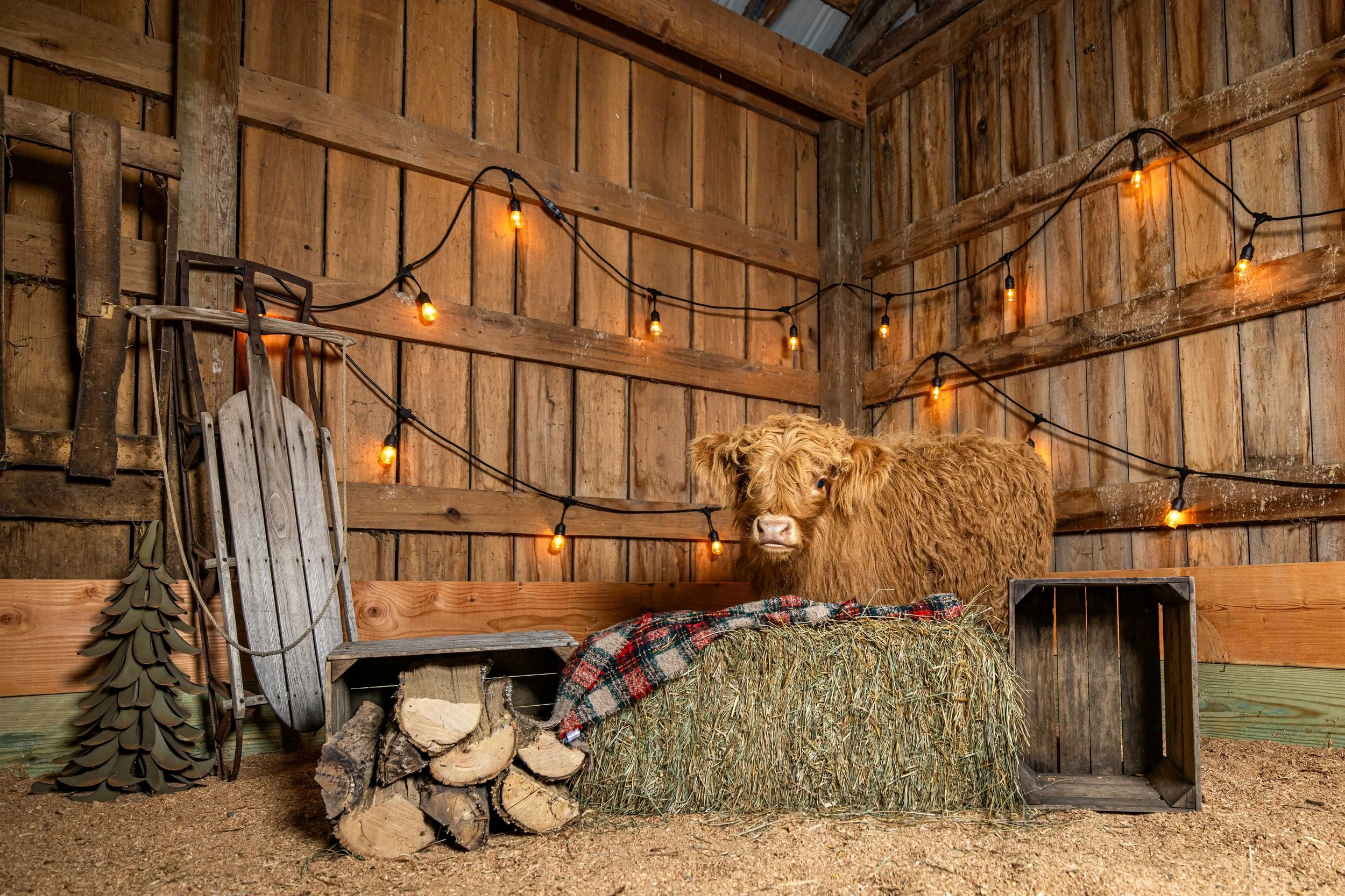 Black Rock Farm in Myersville, MD (3)
