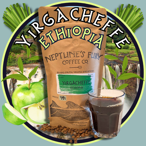 Neptune's Fury Cafe & Roastery in Norfolk, VA (2)