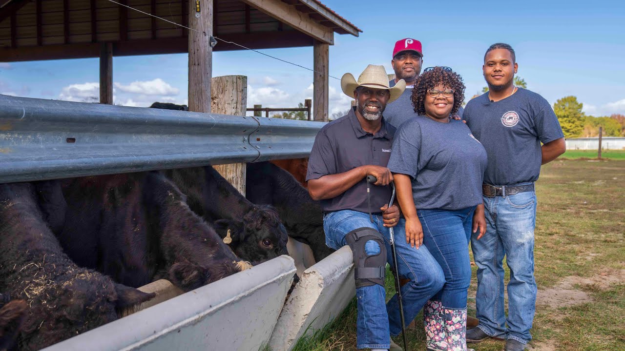 Briarwood Cattle Farm, LLC in Red Springs, NC (4)