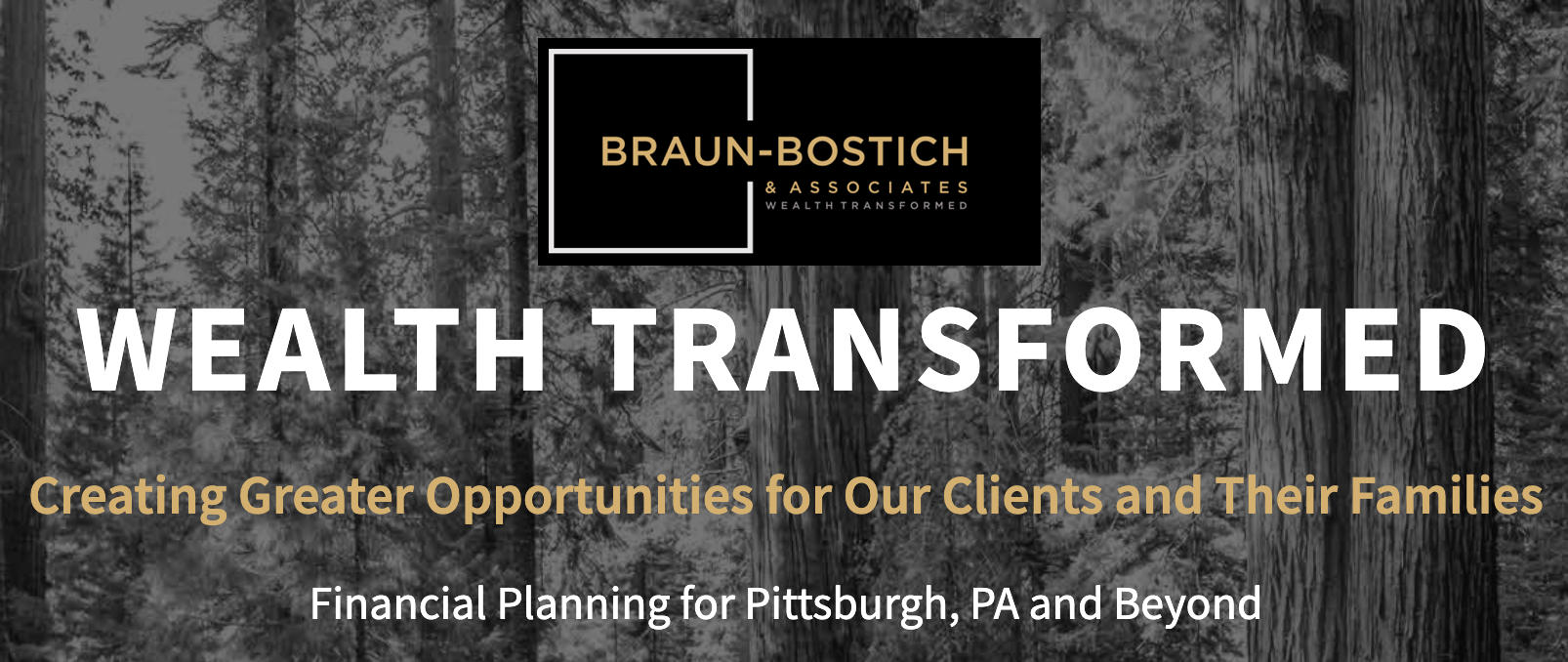 Braun-Bostich & Associates, Inc. in Canonsburg, PA