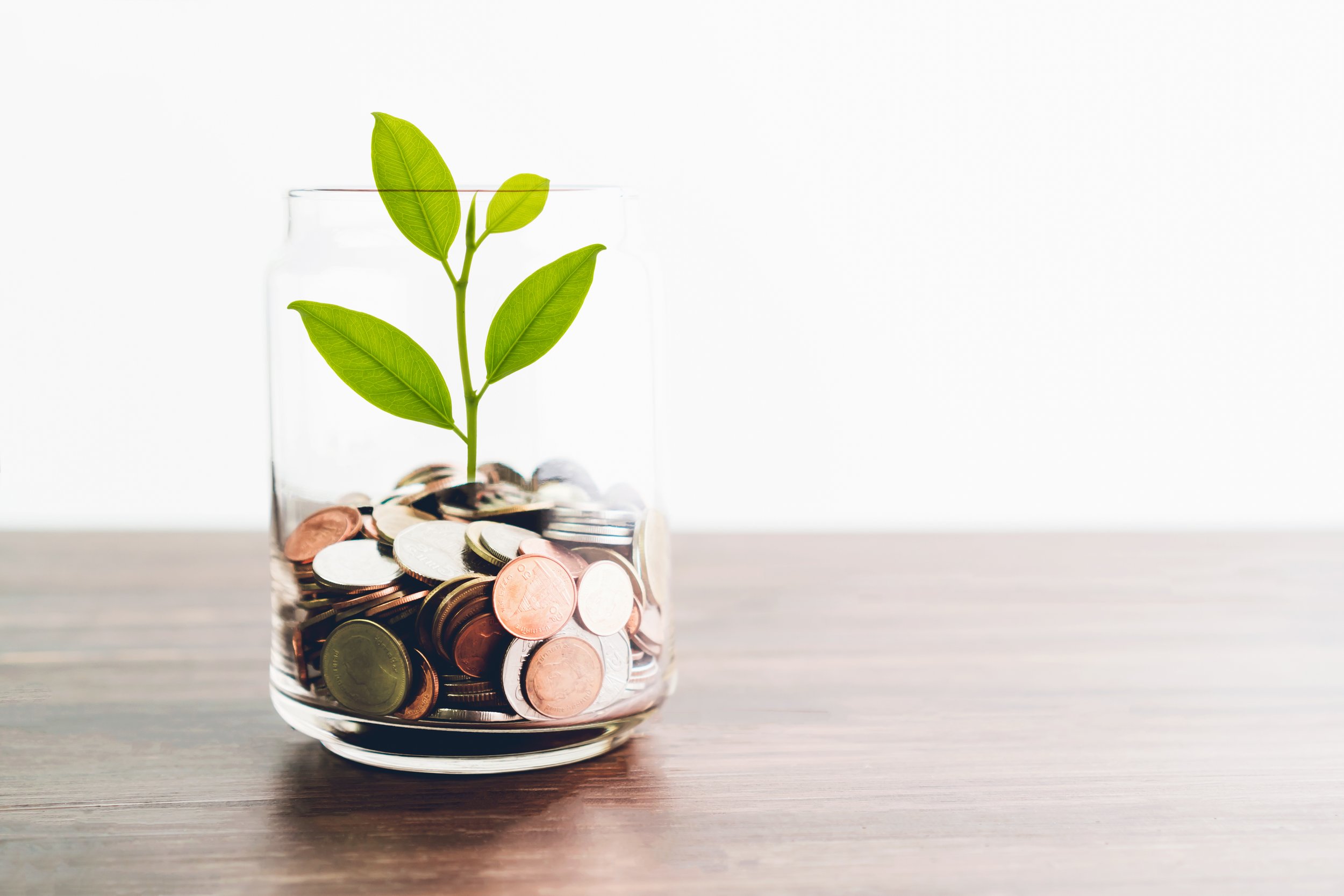 Capricorn Bookkeeping & Consulting, LLC in Blacksburg, VA (4)