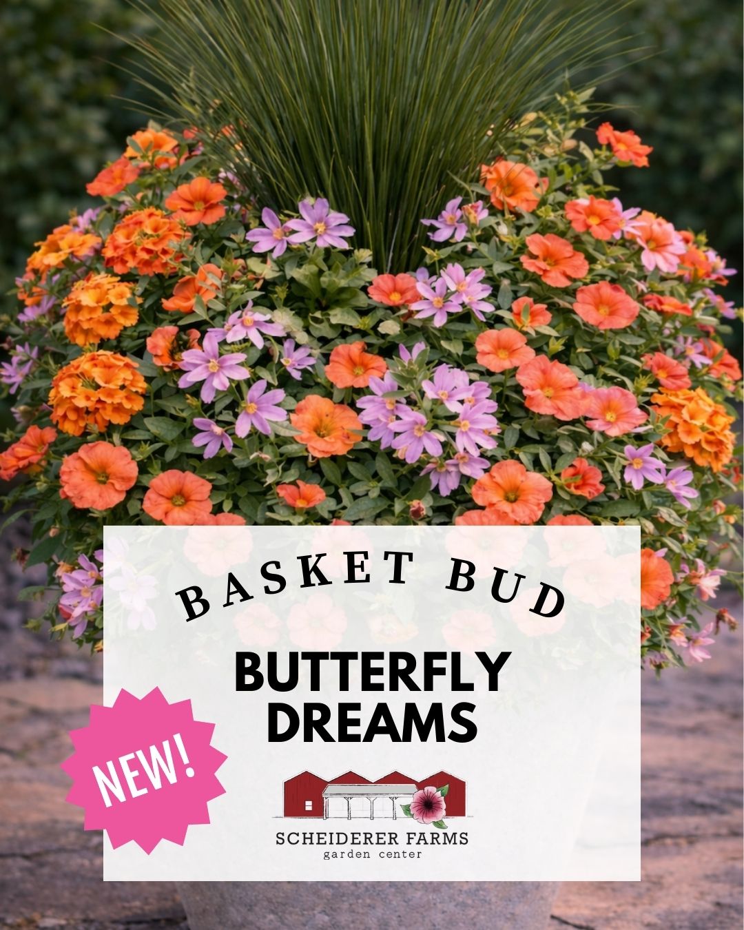 Scheiderer Farms Garden Center in Marysville, OH (5)