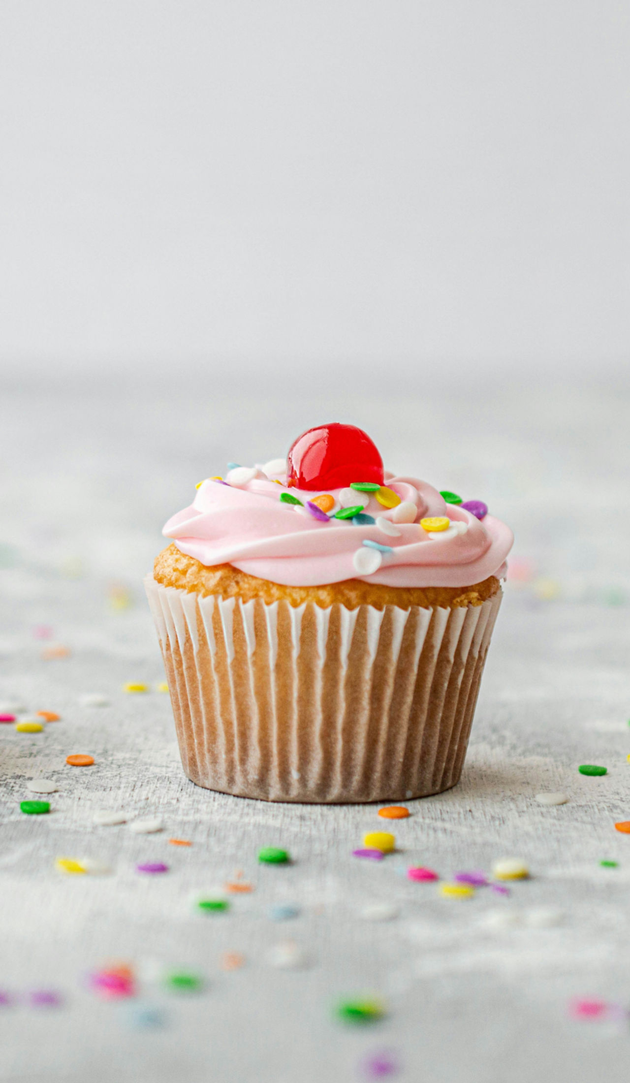 Cupcake Fairies in New Orleans, LA (2)