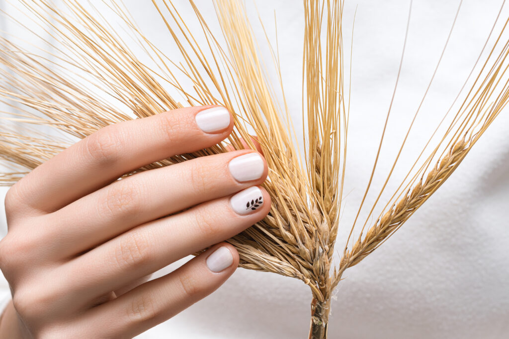 M&A Nails and Spa of Springfield in Springfield, PA