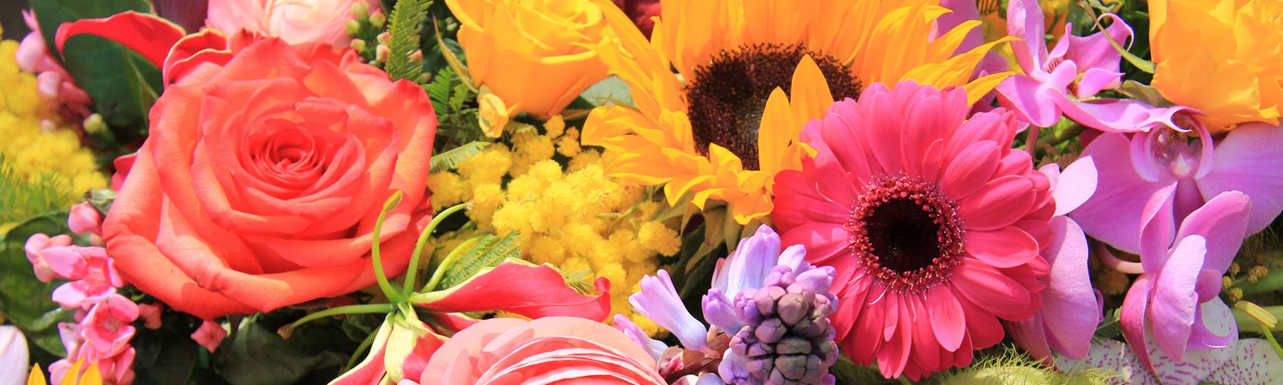 Marco Island Florist Home & Gifts in Marco Island, FL