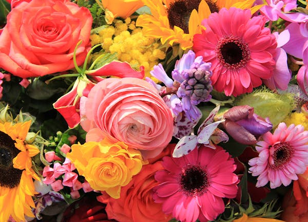 Marco Island Florist Home & Gifts in Marco Island, FL (2)