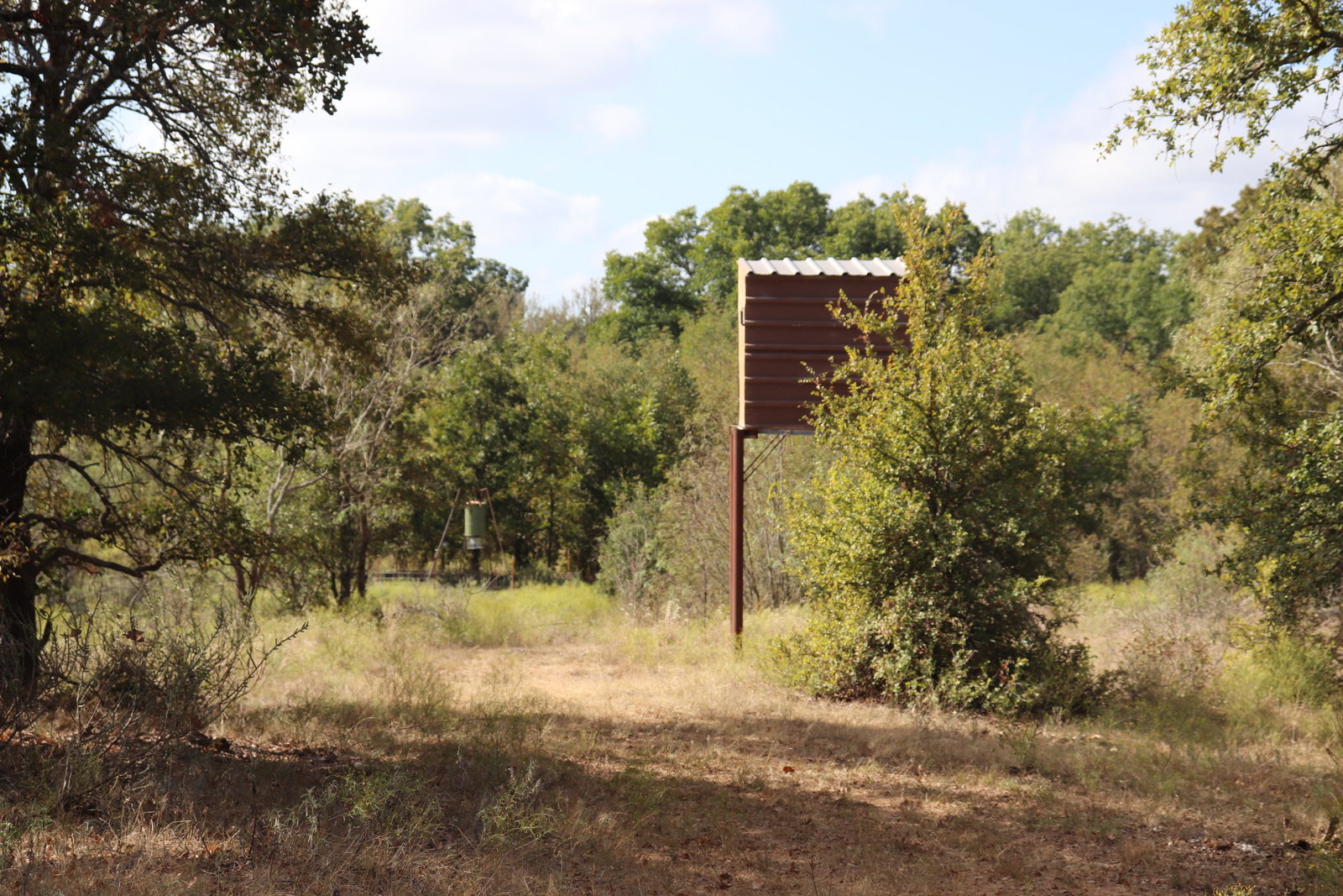 Texas Wide Realty in Gorman, TX (5)