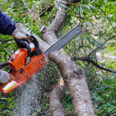 Fawn Landscaping, LLC in Fawn Grove, PA (3)