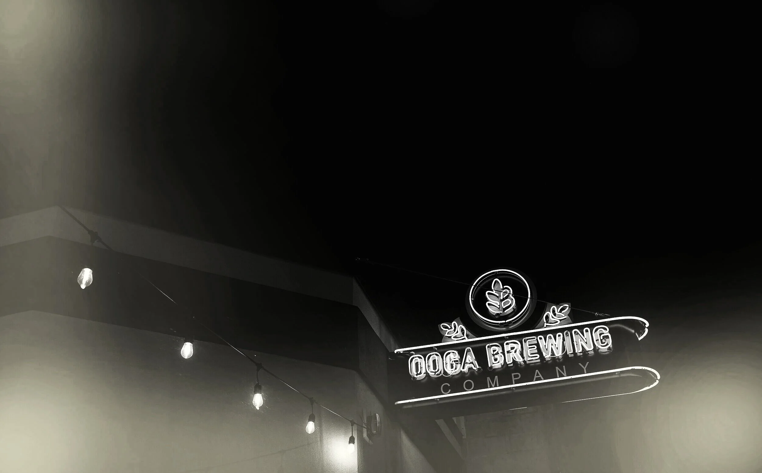 Ooga Brewing Company in Beaver Dam, WI (4)