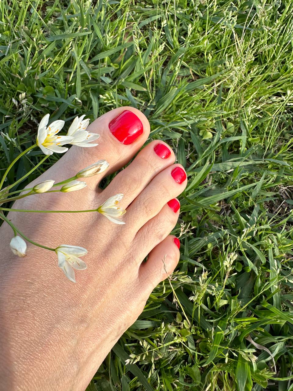Vibar nails Gulf Breeze in Gulf Breeze, FL