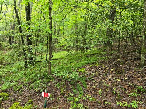 Mountain Streams Real Estate Inc in Hayesville, NC (3)