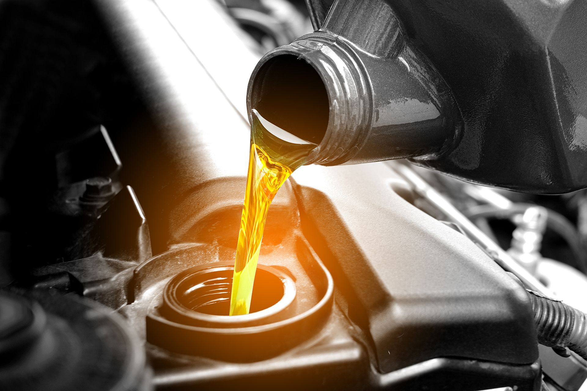 Race Ready Auto Repair in Port Charlotte, FL (3)