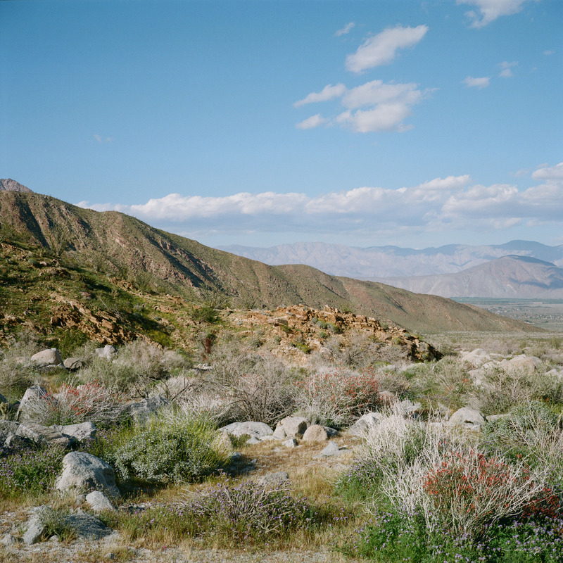 The Kauffman Home Team in Cabazon, CA (5)