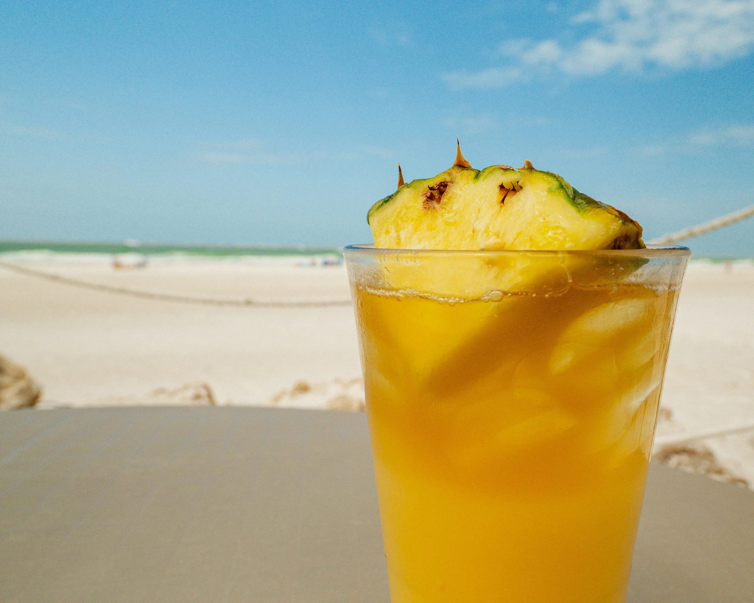 Sandbar Seafood + Spirits in Anna Maria, FL (6)