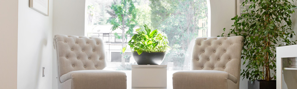 Posh Hair Studio in Agoura Hills, CA