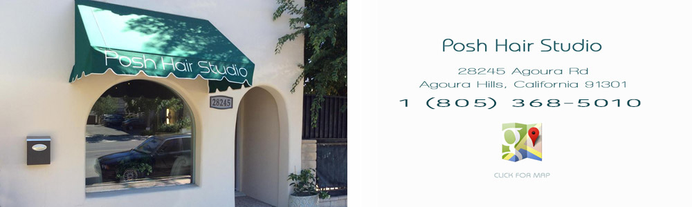 Posh Hair Studio in Agoura Hills, CA (2)