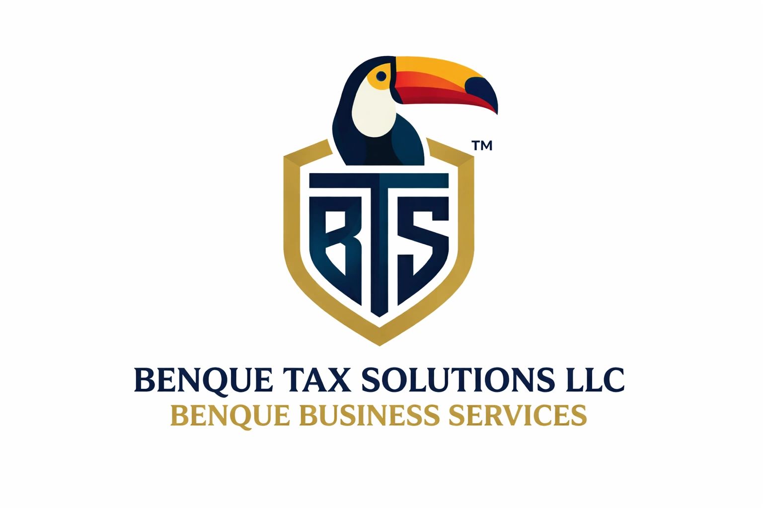 Benque Tax Solutions LLC in Dallas, TX