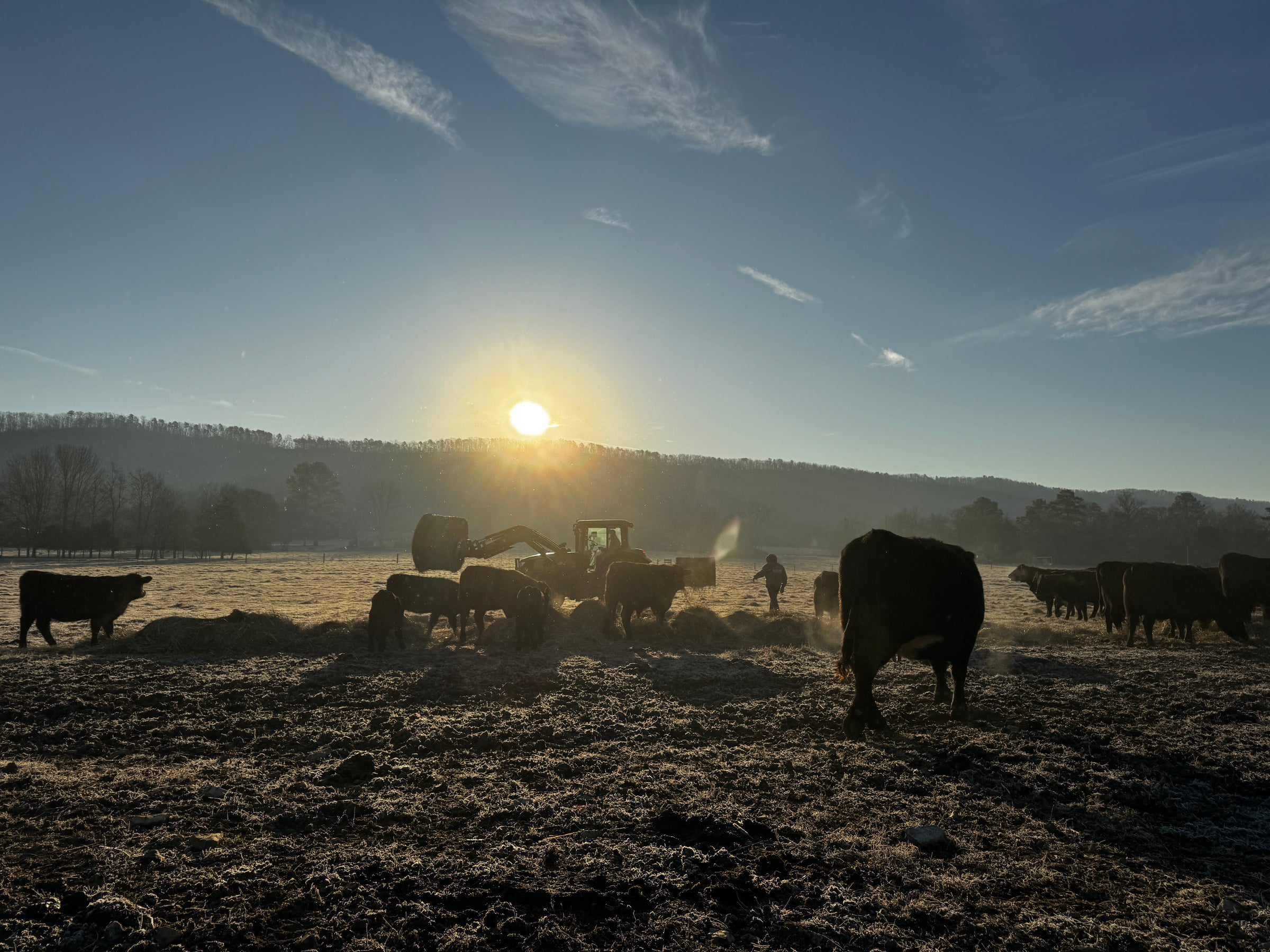 The Barn Market at Deer Creek Farms in Ringgold, GA
