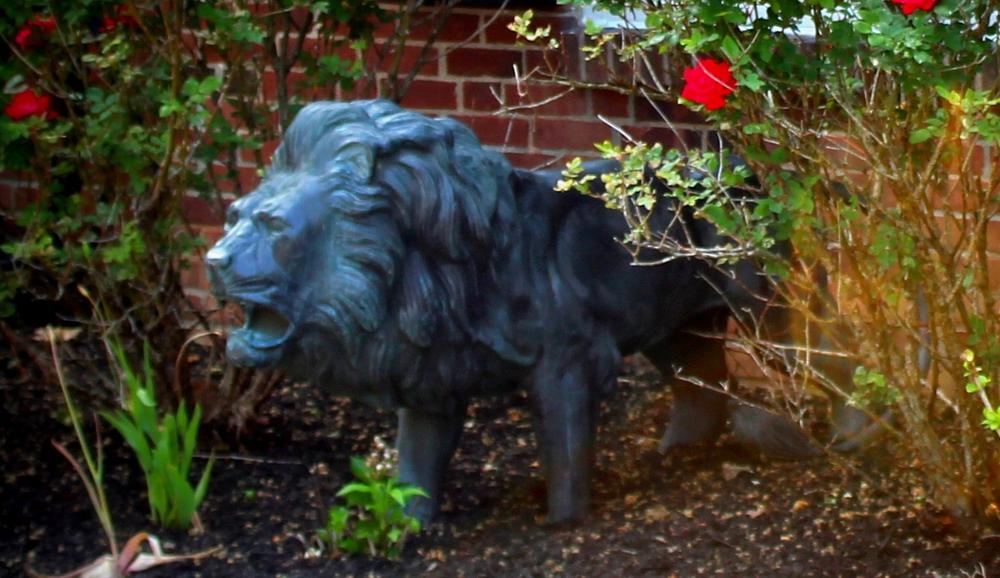 Mazaheri Law, LLC in Doylestown, PA