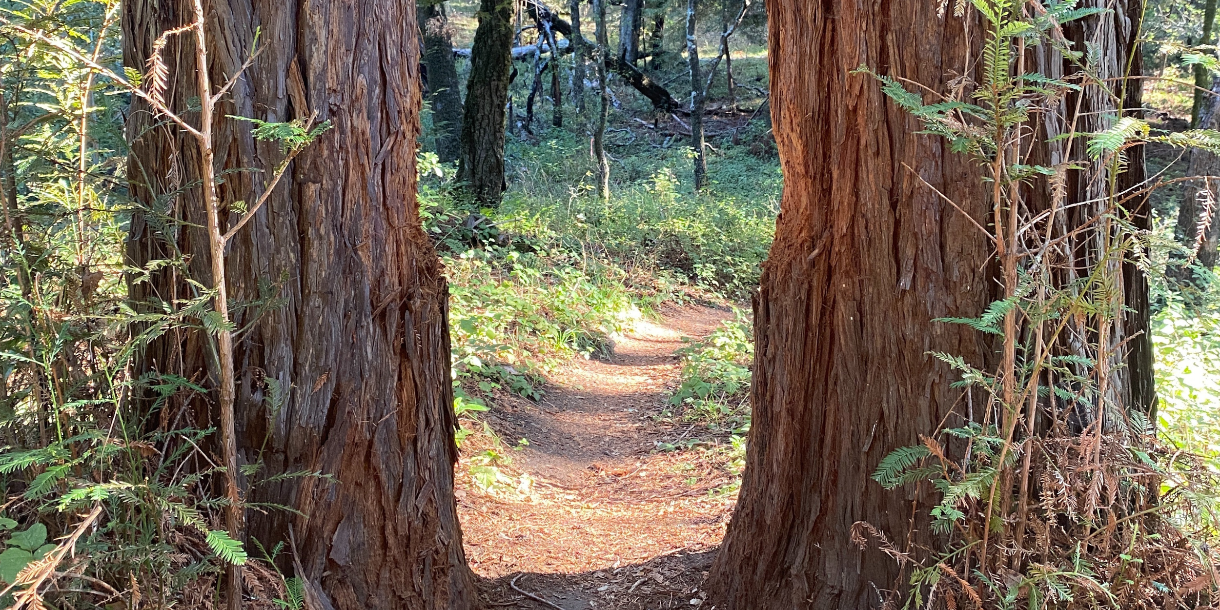 Looking For Space in Gonzales, CA