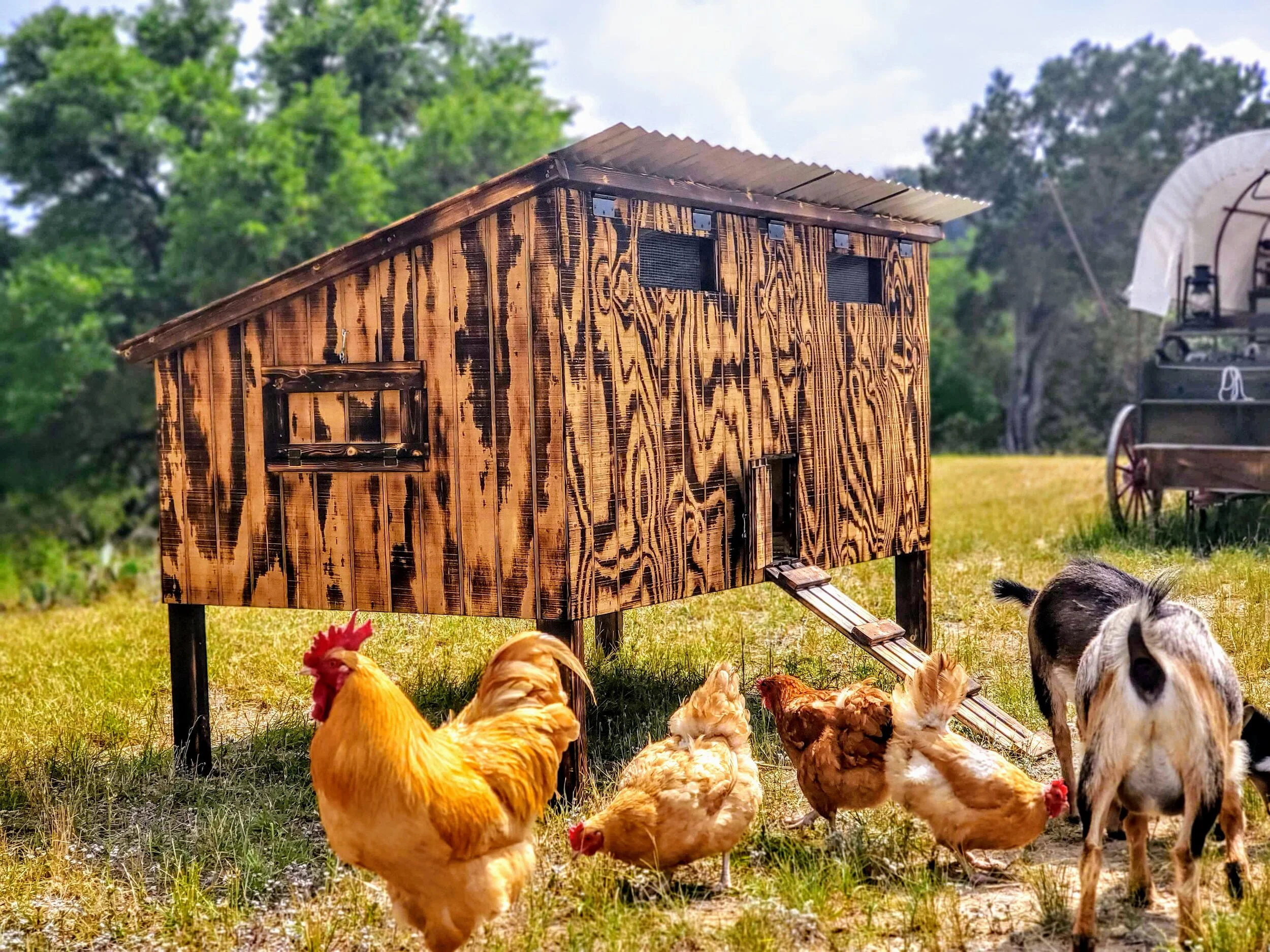 Hitchman Homestead in Kerrville, TX (4)