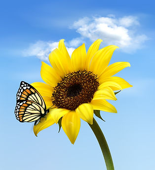 Le Soleil Natural and Organic Nail Salon and Spa in Oakland, CA (4)