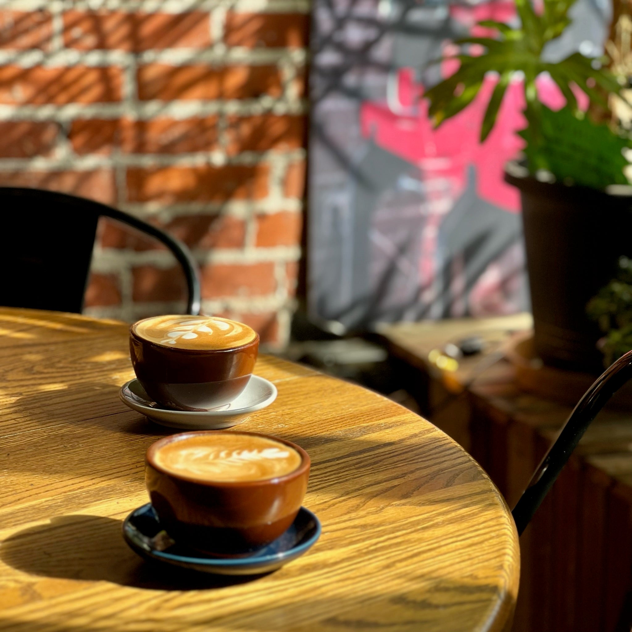Harbor Perk Coffeehouse & Roasting Co. in Ashtabula, OH