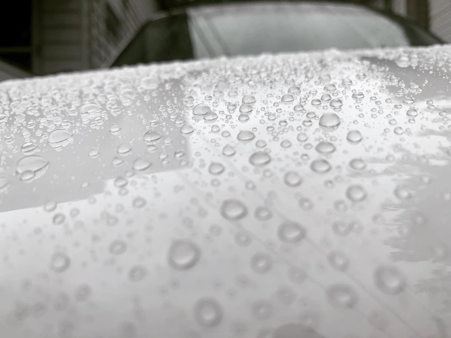 Timeless Auto Studio LLC in Plymouth, PA